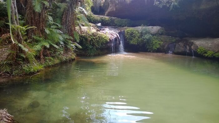 An Oasis In Isalo National Park, Madagaskar.
