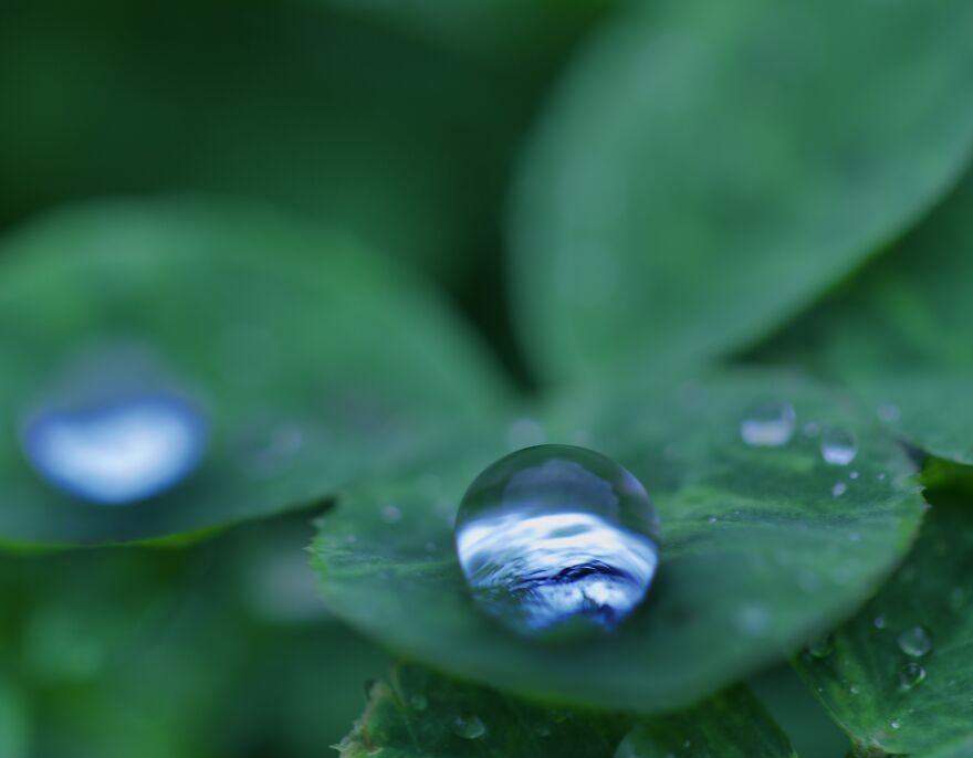 Waterdrop World