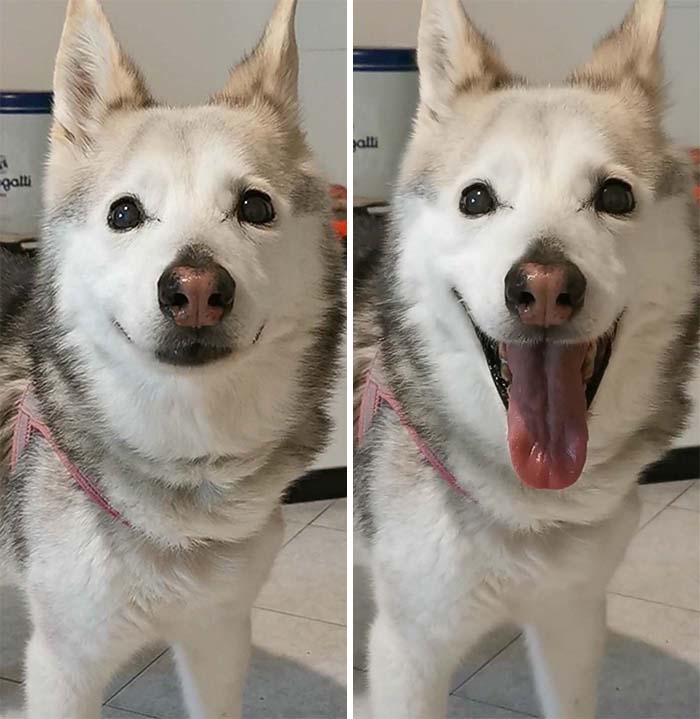 Laila Is Happy To Meet You All