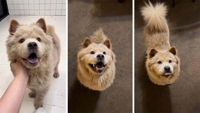 The Day I Saw Her And Fell In Love vs. Today, 6 Months Later And Still Just As In Love