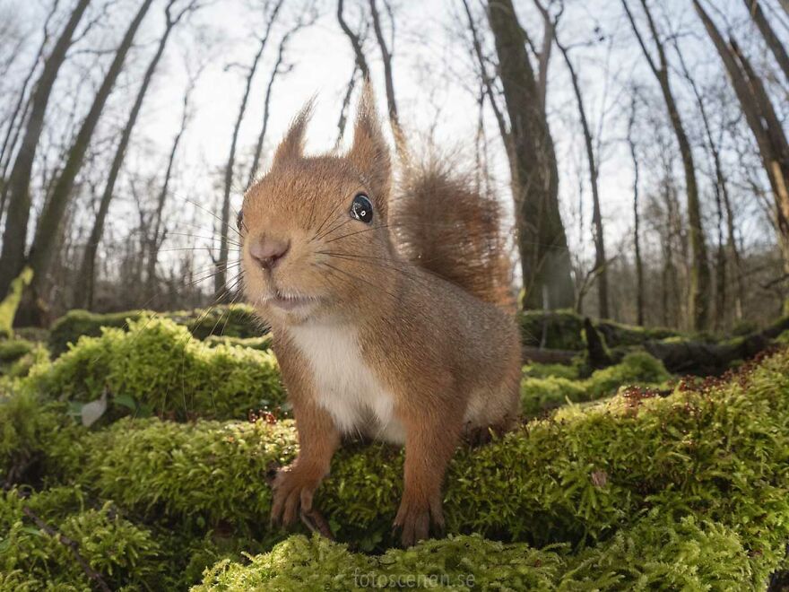 Y'all Got Any More Of Them Nuts?