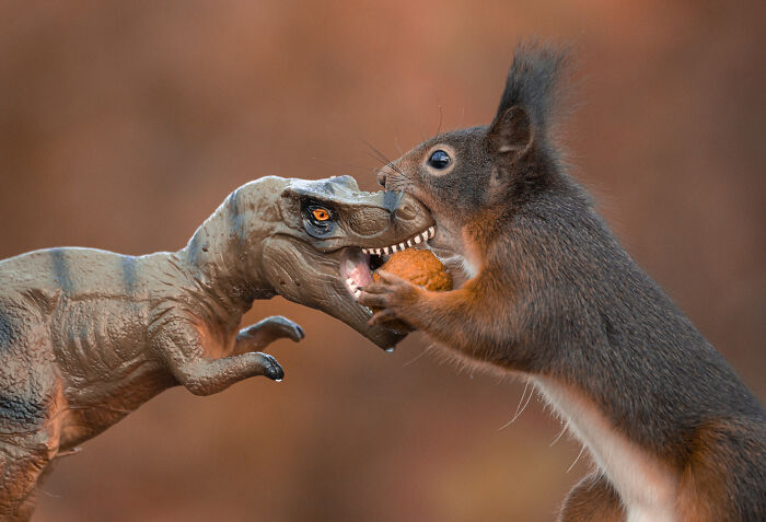 Squirrel Photographer Pays A Tribute To Steven Spielberg's Jurrasic Park