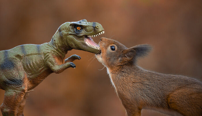 Squirrel Photographer Pays A Tribute To Steven Spielberg's Jurrasic Park