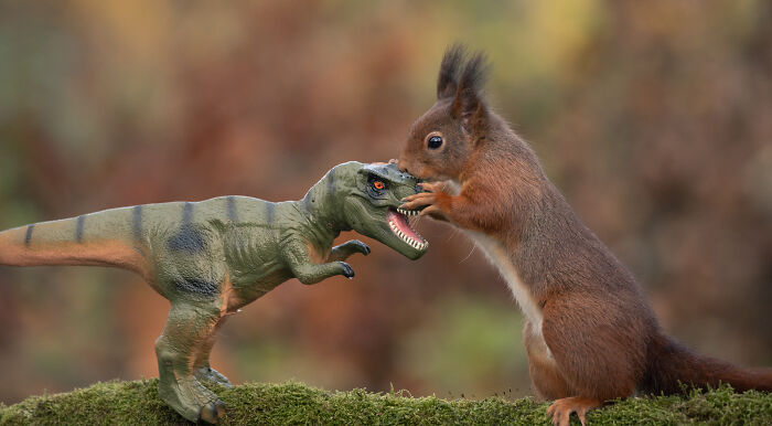 Squirrel Photographer Pays A Tribute To Steven Spielberg's Jurrasic Park