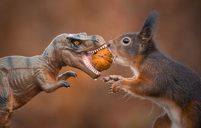 Squirrel Photographer Pays A Tribute To Steven Spielberg's Jurrasic Park