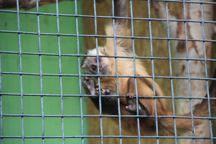 30 Absolutely Horrifying Secrets People Confessed Having Heard From Seemingly Normal Folk