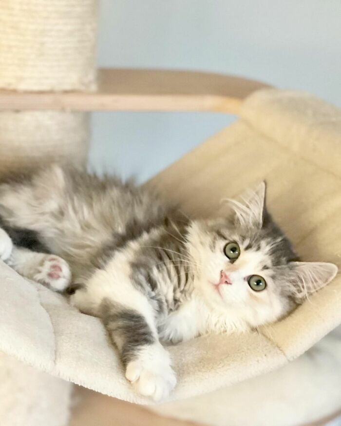 Milly, Is’nt She Cute? 😻🥺