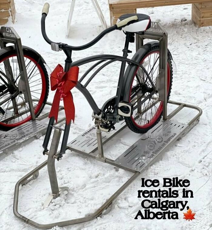Ice bike with red rims and a bow in snowy Calgary, Alberta, showcasing Canadian stereotypes and humor.