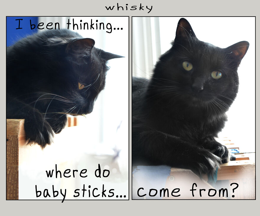 I Made Over 300 Comics This Year And Posted Every Single One, Here Are Some Random Samples For Some Laughs