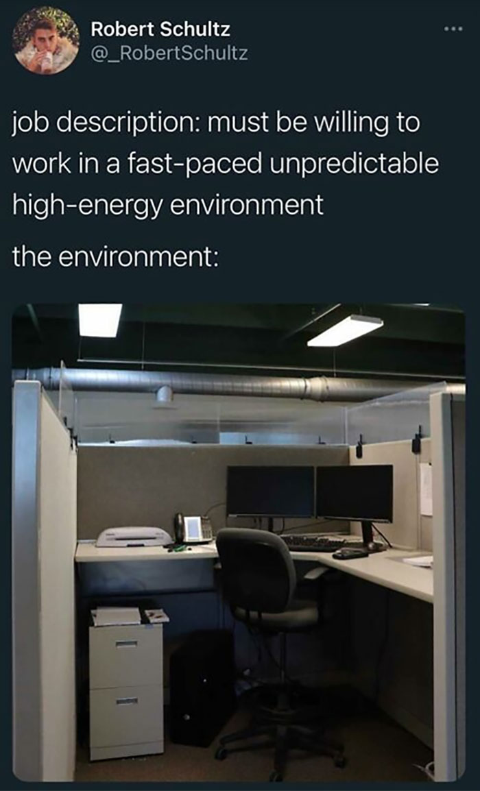 We Need Gurus, Ninjas, Assassins, And Rockstars! The Task? We’re Building An App To Help Insurance Agents Deny Claims From Customers. Sent To Me By @rusty.ren And By Robert Schultz Which There Are A Million Of Them On Insta.