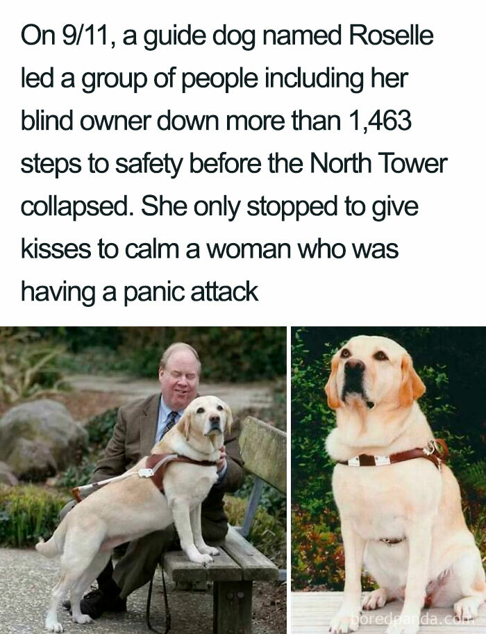 The Goodest Girl 15/10