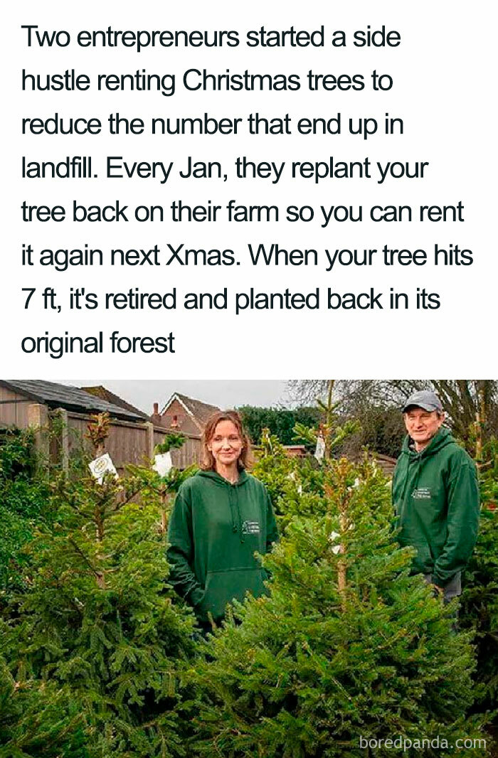 Way To Go To Save Trees