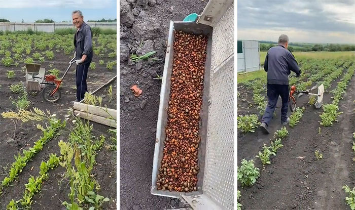 The Farmer Who Found A Way To Get Rid Of Agricultural Pests Without Using Pesticides. This Is Brilliant And They Are Still Alive
