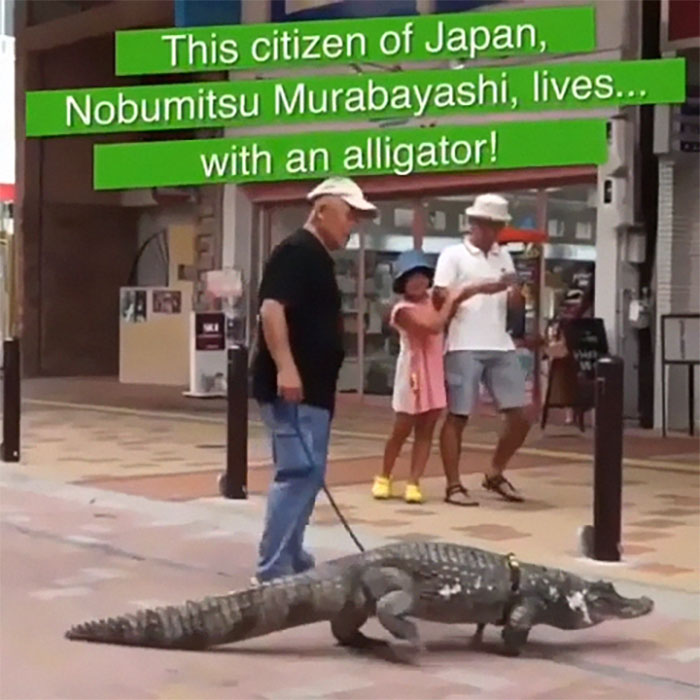 Man Lives With Pet Alligator For The Past 34 Years