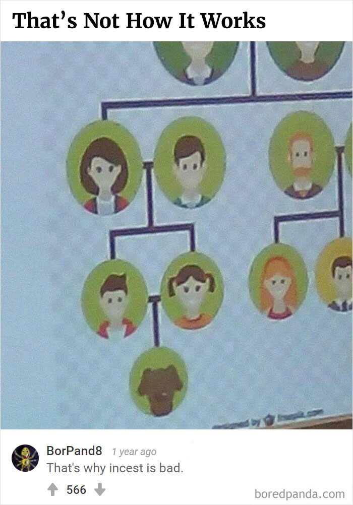 Bored Panda's Hall Of Fame