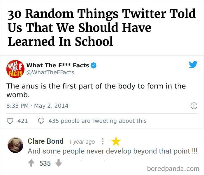 Bored Panda's Hall Of Fame