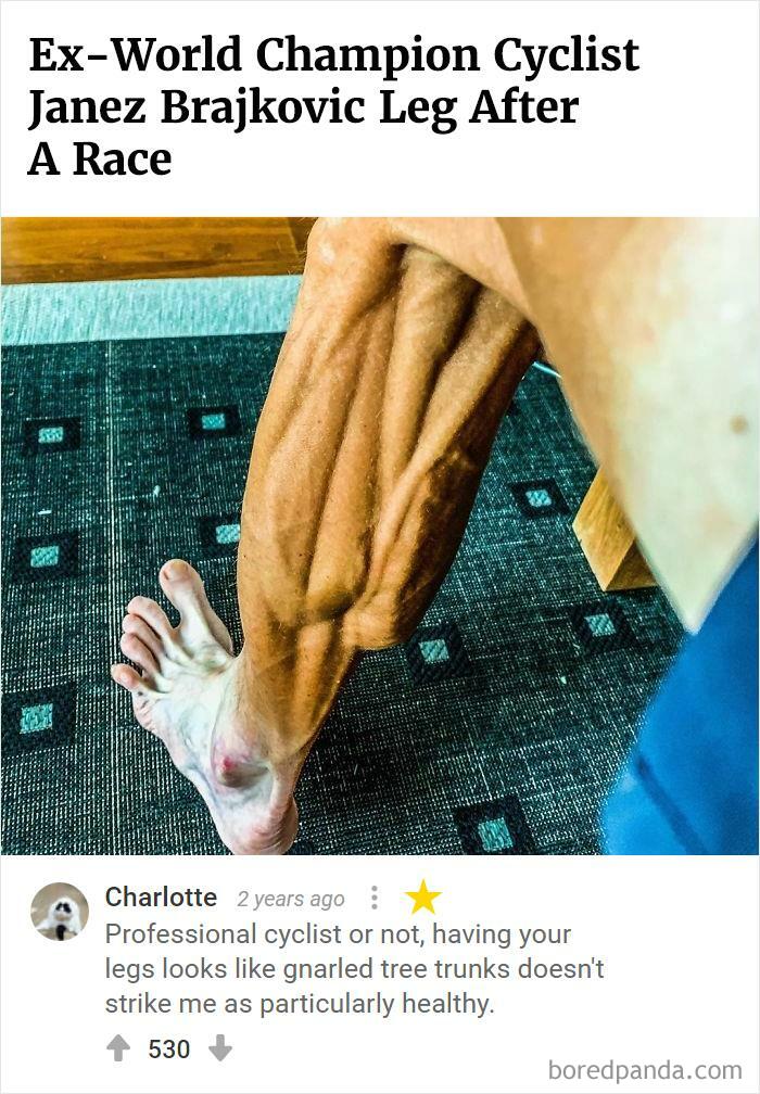 Bored Panda's Hall Of Fame