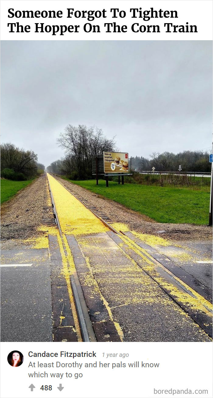 Bored Panda's Hall Of Fame