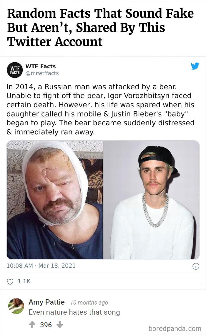 Bored Panda's Hall Of Fame