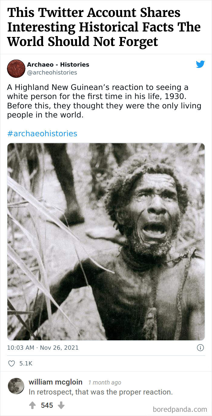 Bored Panda's Hall Of Fame