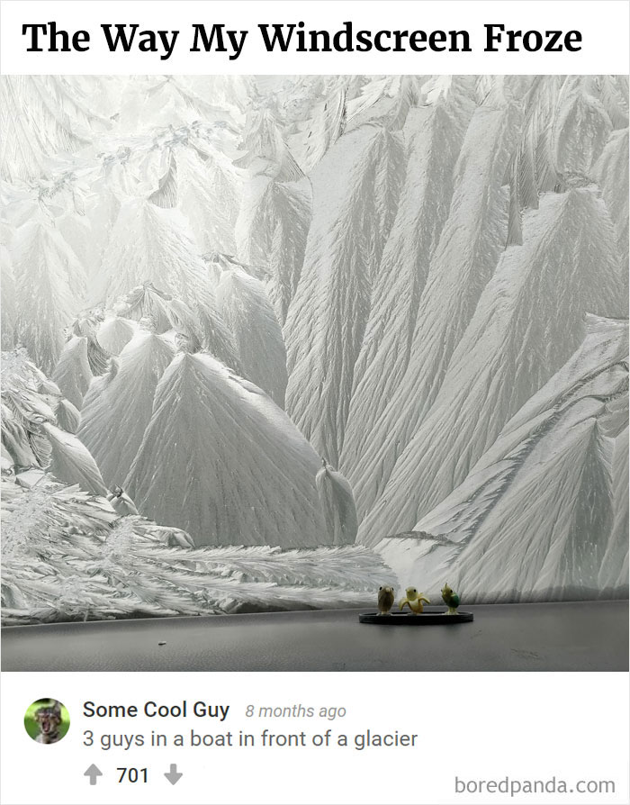 Bored Panda's Hall Of Fame