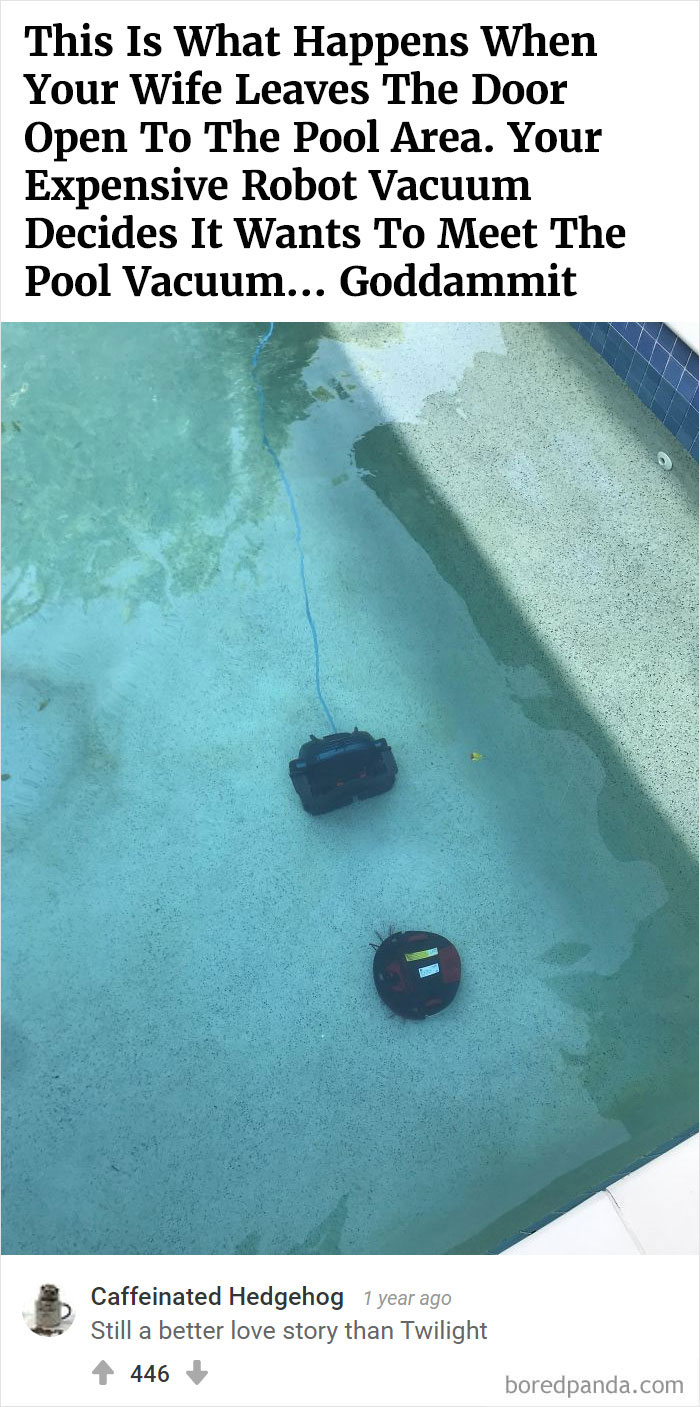 Bored Panda's Hall Of Fame