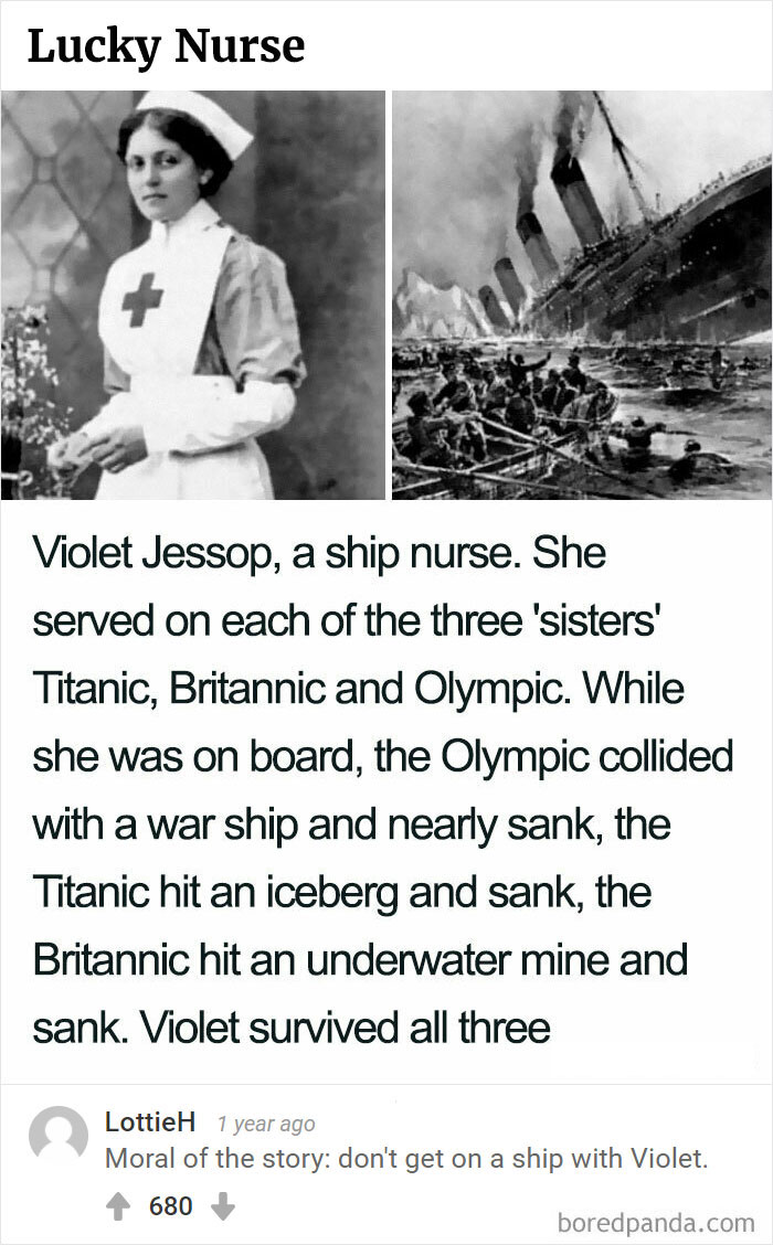 Bored Panda's Hall Of Fame