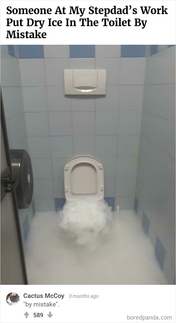 Bored Panda's Hall Of Fame