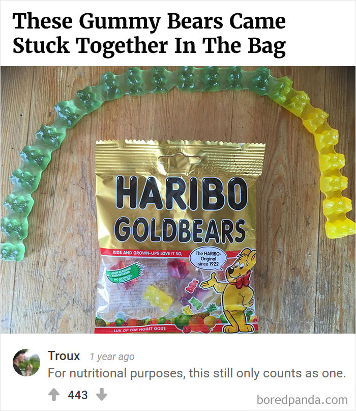 Bored Panda's Hall Of Fame