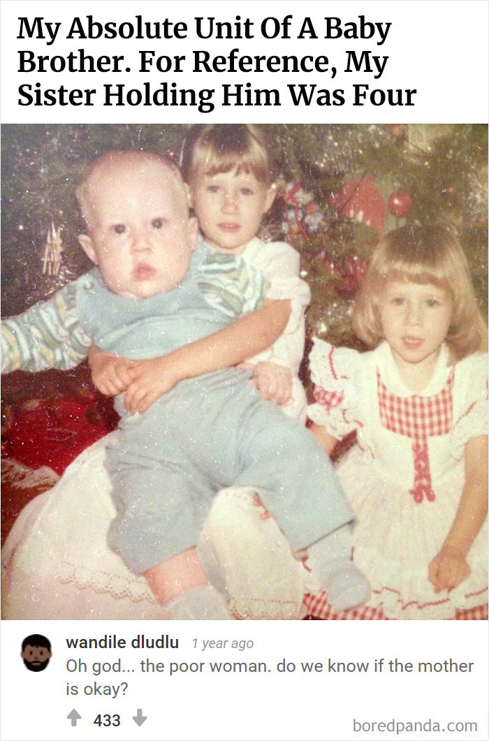 Bored Panda's Hall Of Fame