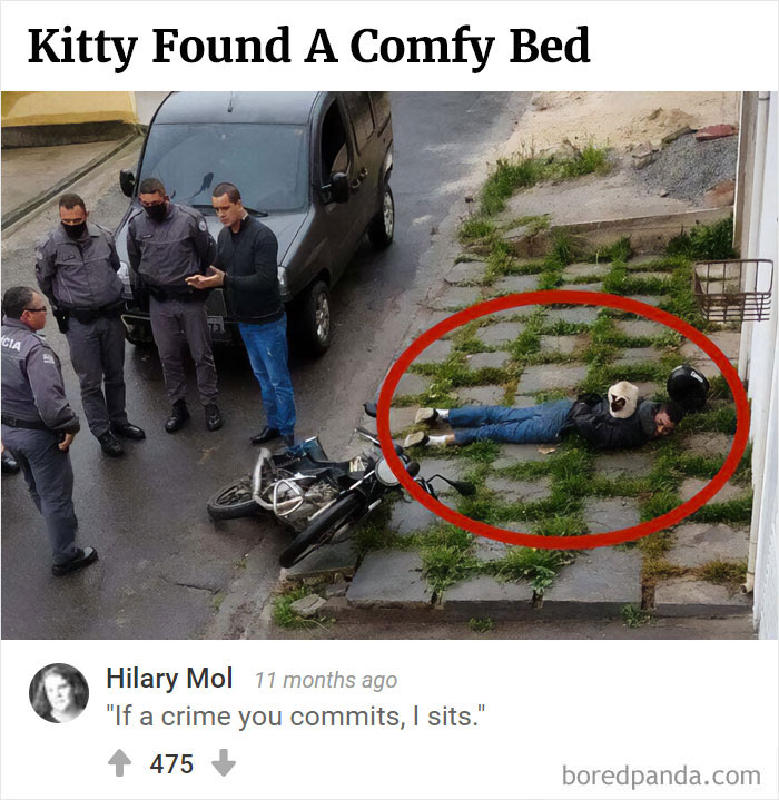 Bored Panda's Hall Of Fame