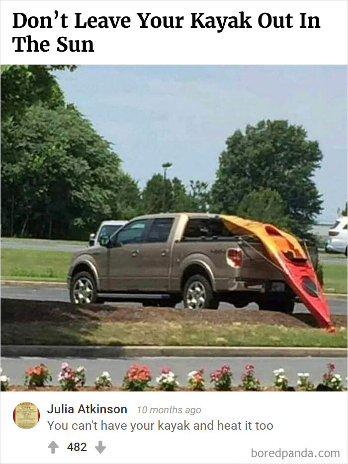 Bored Panda's Hall Of Fame