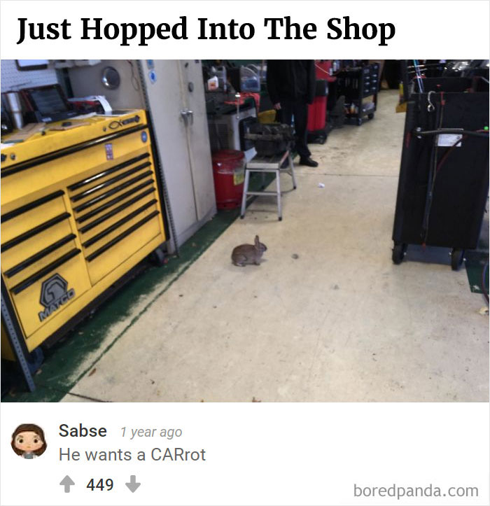 Bored Panda's Hall Of Fame