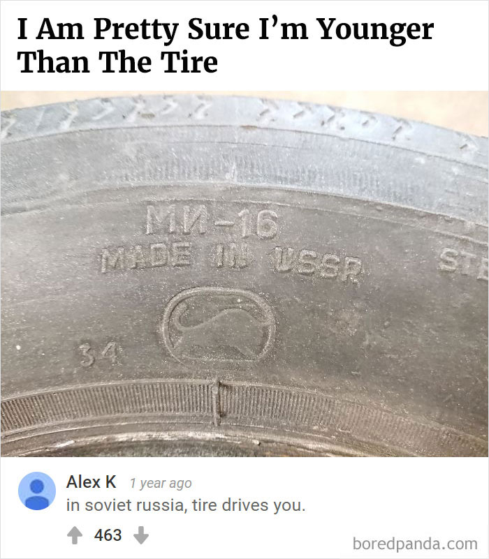 Bored Panda's Hall Of Fame