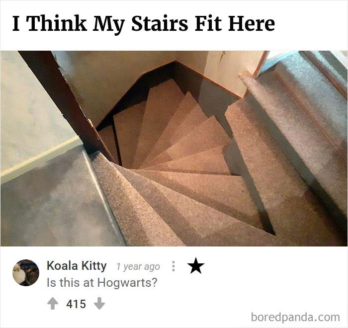 Bored Panda's Hall Of Fame