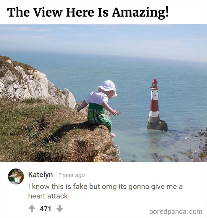 Bored Panda's Hall Of Fame