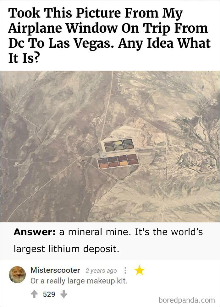 Bored Panda's Hall Of Fame