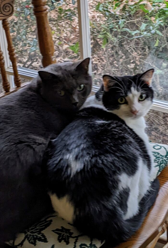 Brother Glory And Sister Hallie