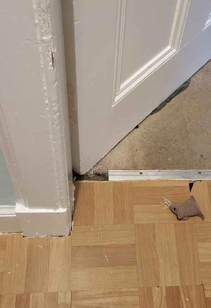 The Last Of The Comedy Mouse Heads I Put Up For The Cat