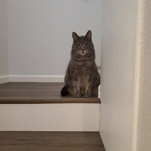 jamie-sam2006 avatar