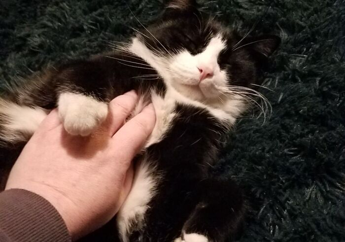 Transporter Cheif Miles O'brien!