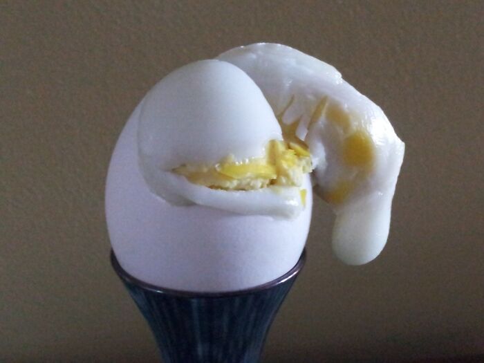 This Hard Boiled Egg