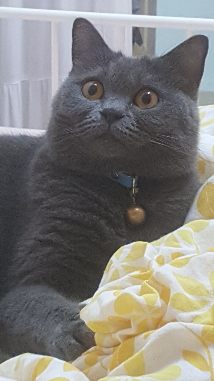 Okay, I Promise This Time I Won't Blink.