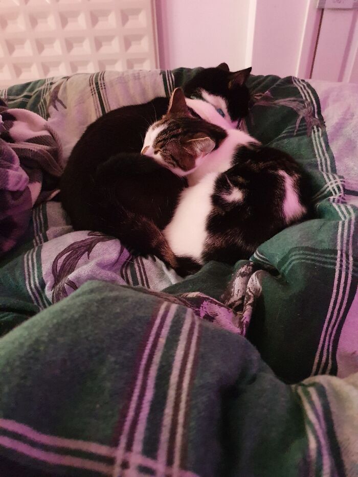 Nap Time With My Ladies