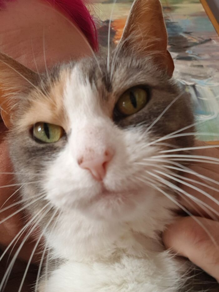 This Is Sally Sausage. She Kills Small Rodents.