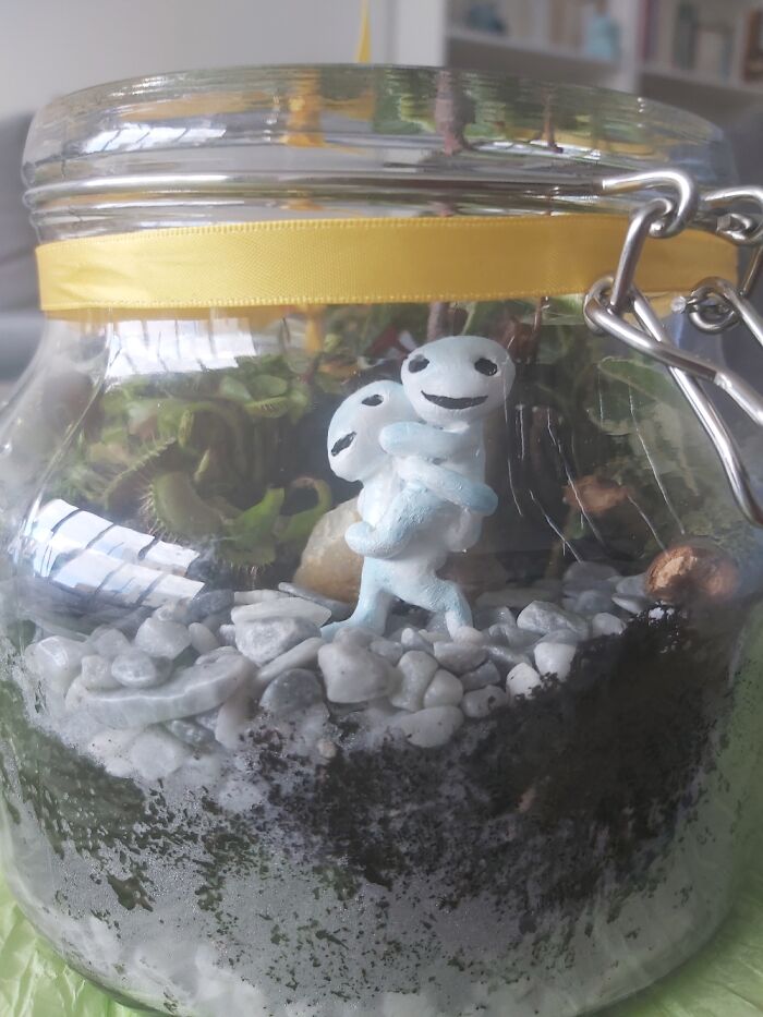 A Homemade Terrarium I Just Made