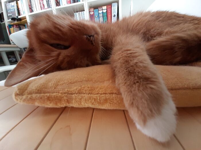 Perhaps Something Went Wrong During Assembly...