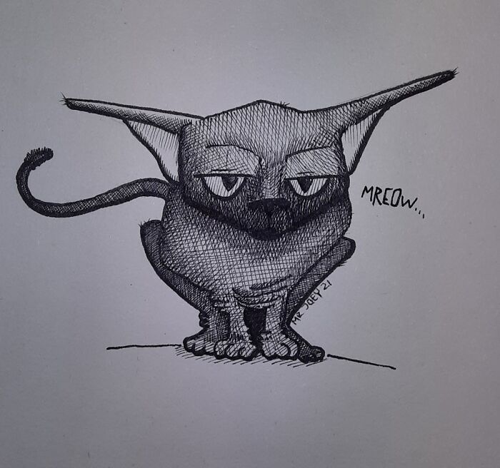 Just My Sphynx Cat, Jennifer.