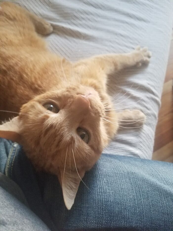 My Chester 22 Years Young