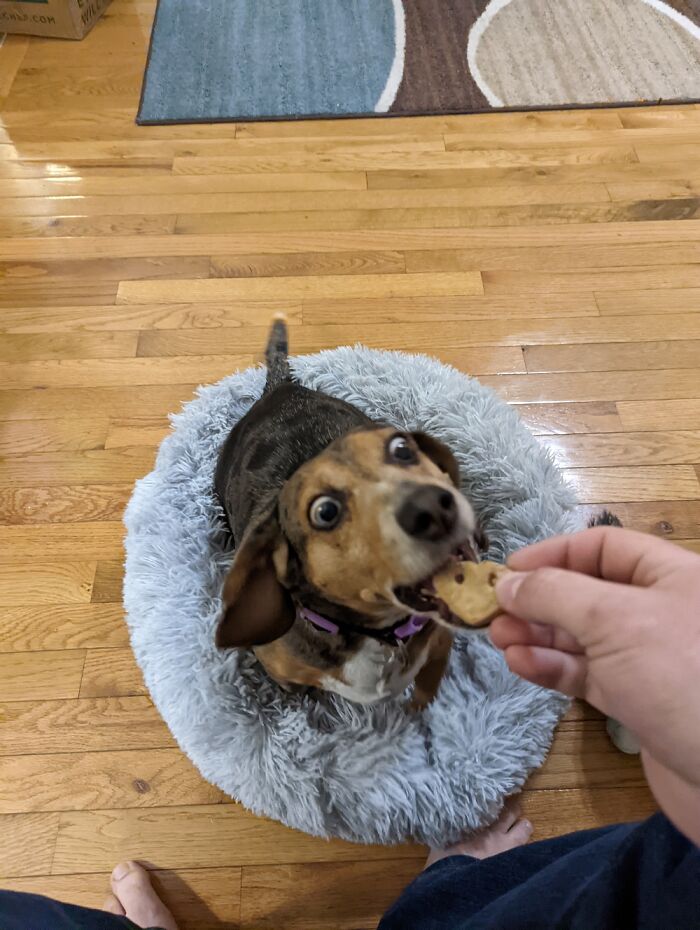 I'll Be Gentle I Swear